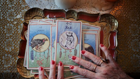 Het ratje, de mens en de metro